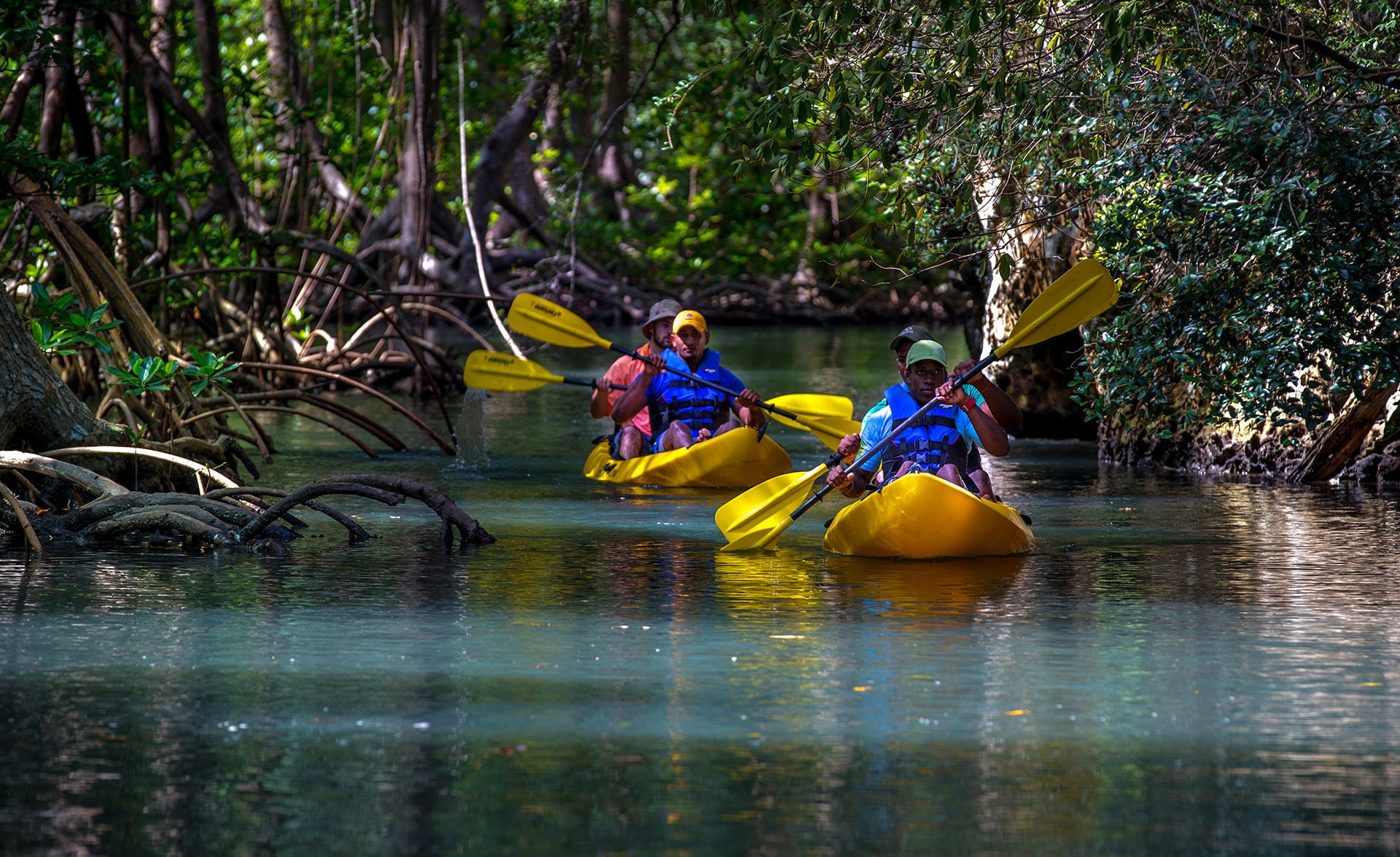 Kayaking through mangroves